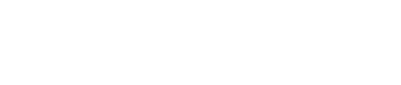Logo prime