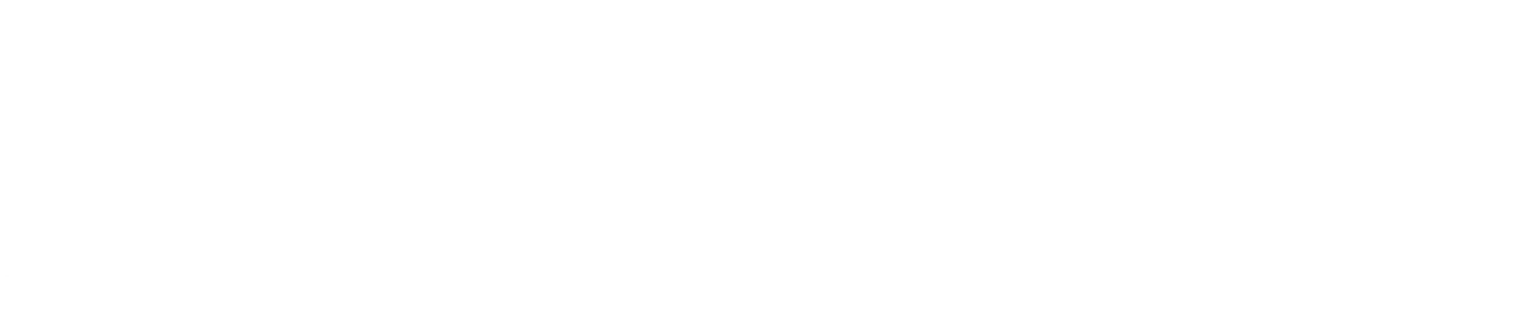 Logo prime